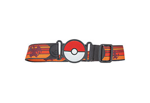 Pokemon Clip n Go Poke Ball Belt Set Assorted