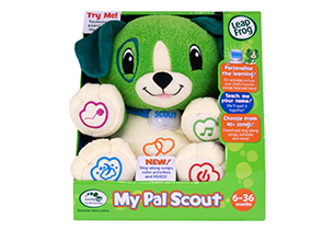 scout's get up and go activity centre