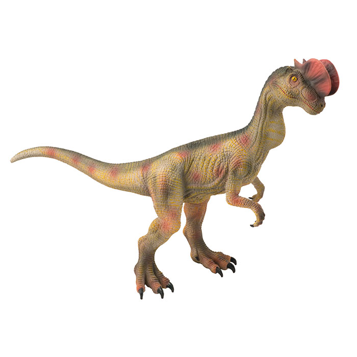 national geographic wildlife wow dinosaurs