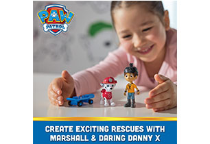 Paw Patrol Hero Pups Assorted - Marshall And Daring Danny