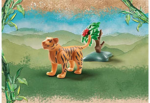 Baby Tiger