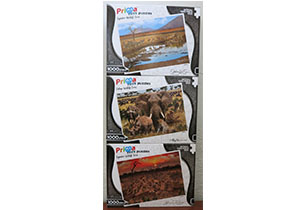 1000 Piece Wildlife Puzzle Assorted - Adult