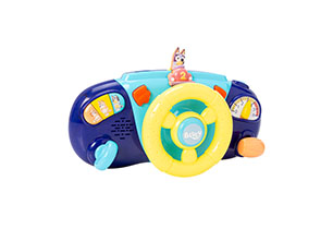 Bluey Driver Dashboard