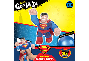 Heroes of Goo Jit Zu DC Superhero 1 Pack