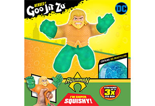 Heroes of Goo Jit Zu DC Superhero 1 Pack