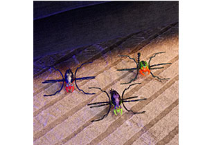 Hex Bots Skitter Bot Spider Red