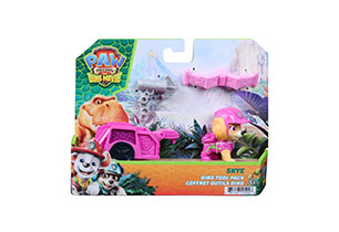 Paw Patrol Dino Movie Tool Pack Assorted