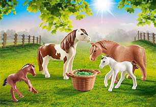 Ponies with Foals