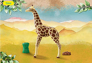 Giraffe