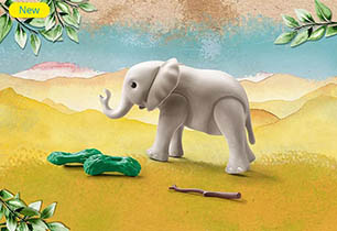 Young Elephant