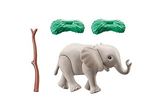 Young Elephant