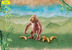 Orangutan