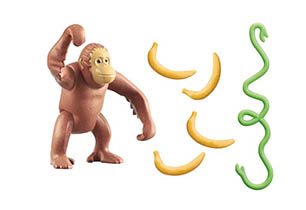Orangutan