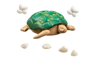 Giant Tortoise