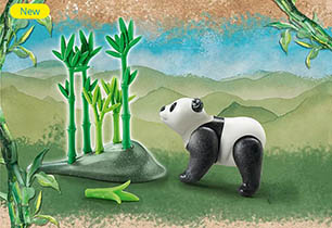 Panda