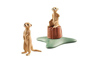 Meerkats
