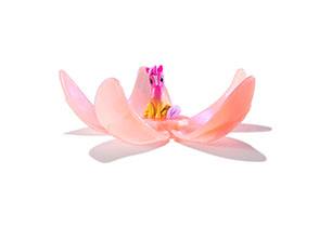 Unicorn Academy Baby Unicorn Collectibles